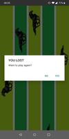 Horse Race