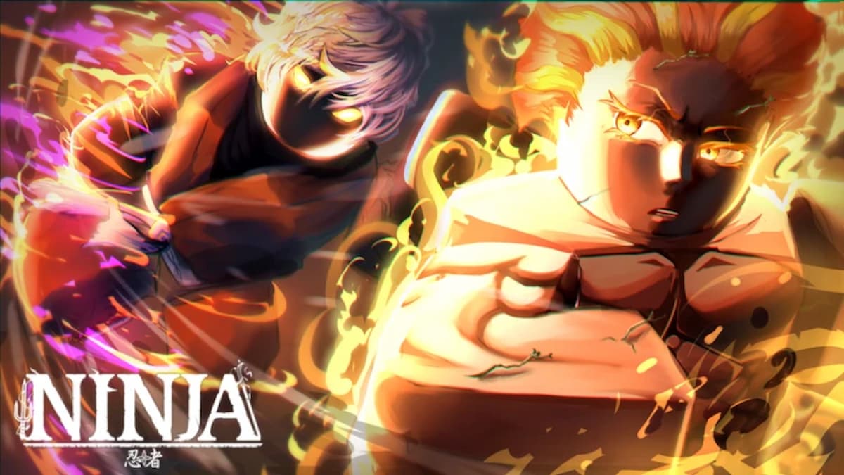 NINJA Codes (December 2024)