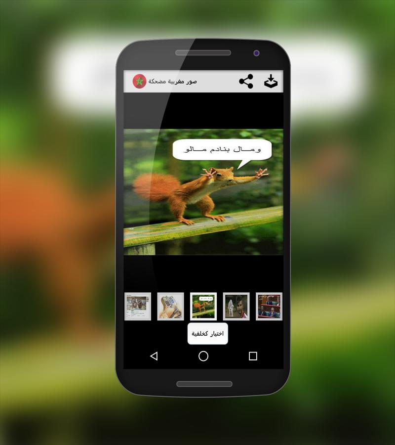 Funniest Moroccan Pictures