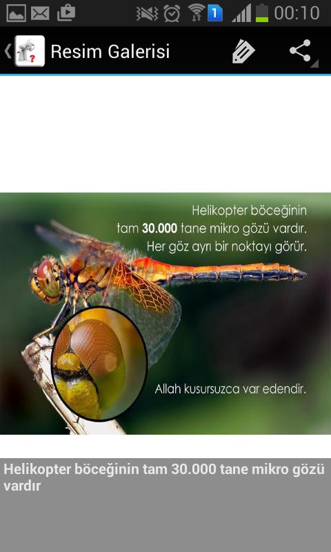 Bunlari Biliyormusunuz