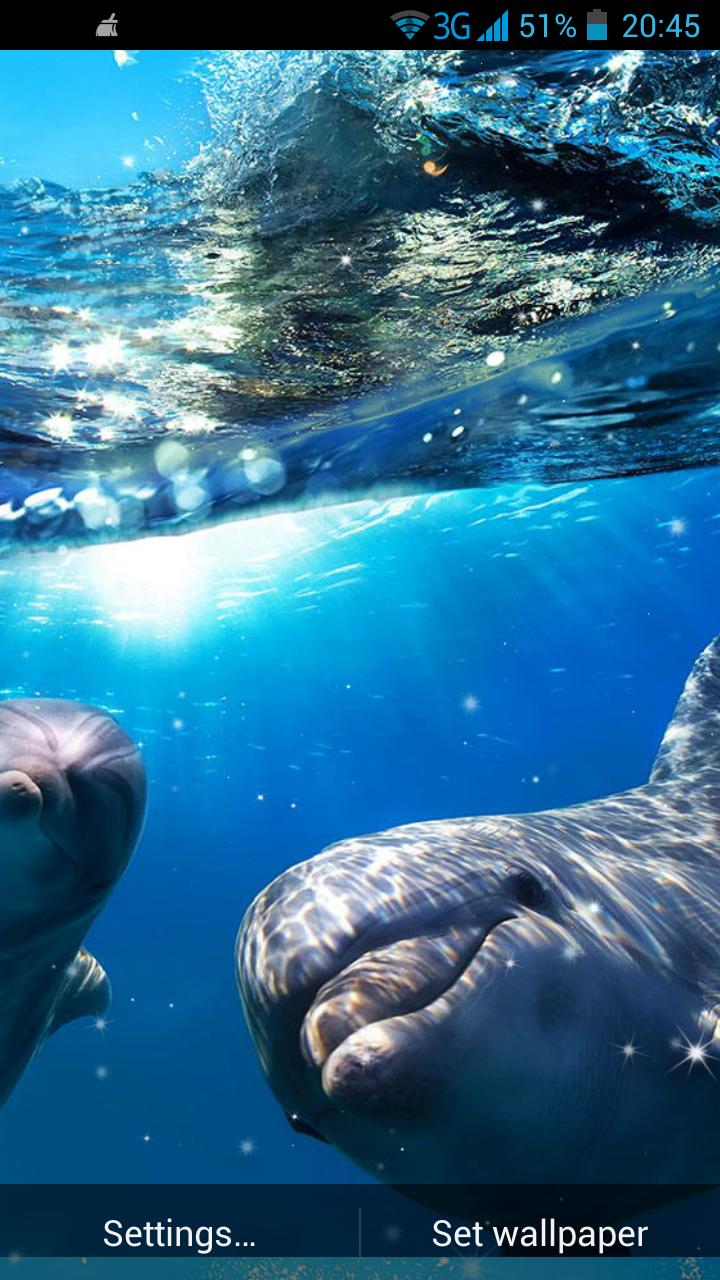 Dolphin 3D Live Wallpaper