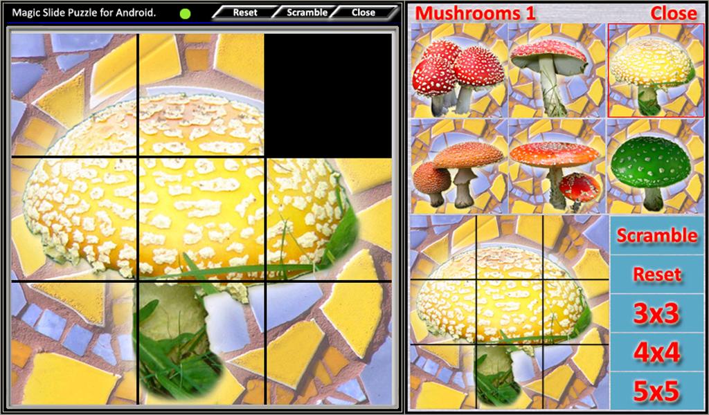 Magic Slide Puzzle Mushrooms 1