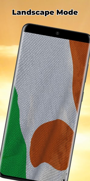 Niger Flag