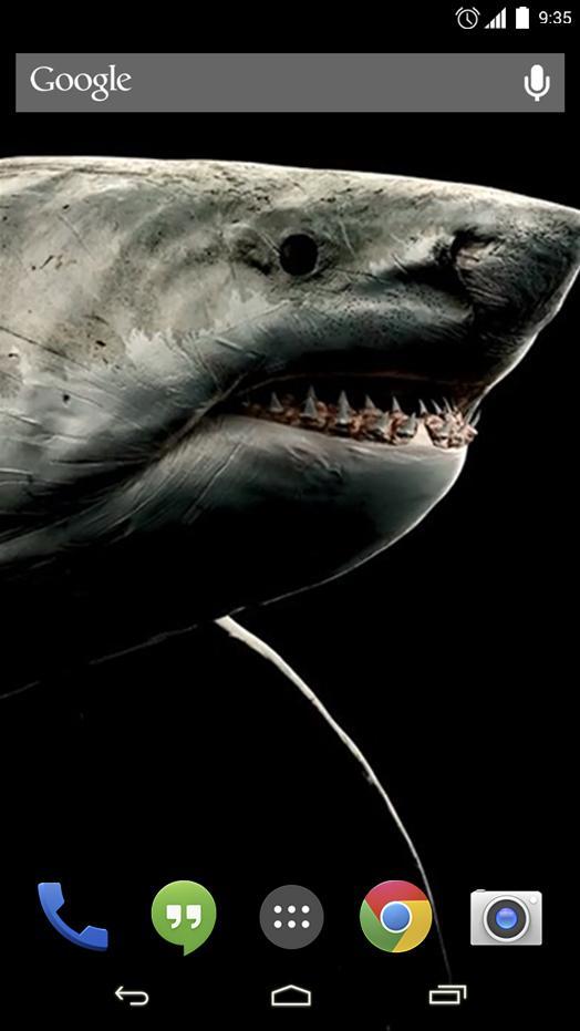 Shark 3D Live Wallpaper