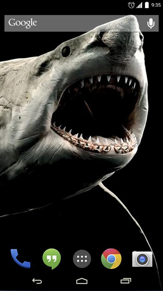 Shark 3D Live Wallpaper