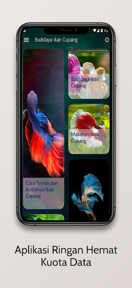 Budidaya Ikan Cupang Hias