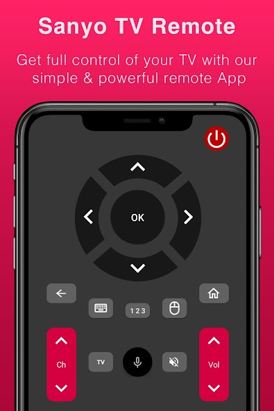 Sanyo TV Remote Control
