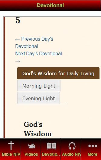 New International Version NIV