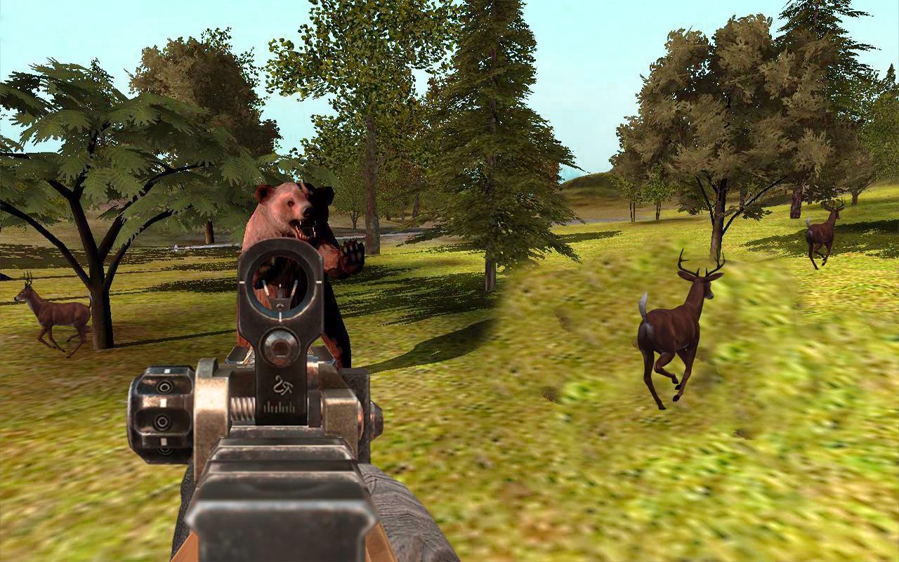 Hunting Animals in Jungle