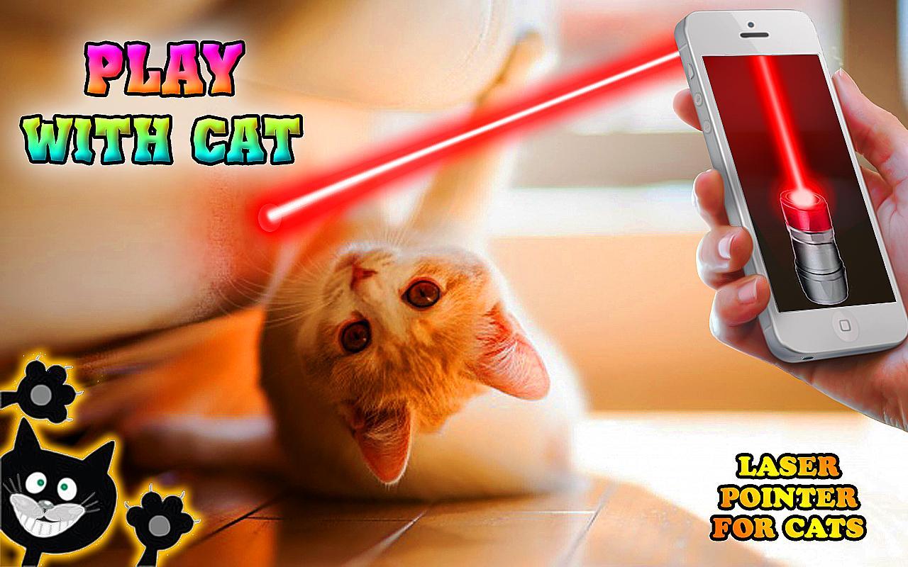 Laser pointer for cats