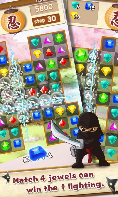 Ninja Jewels