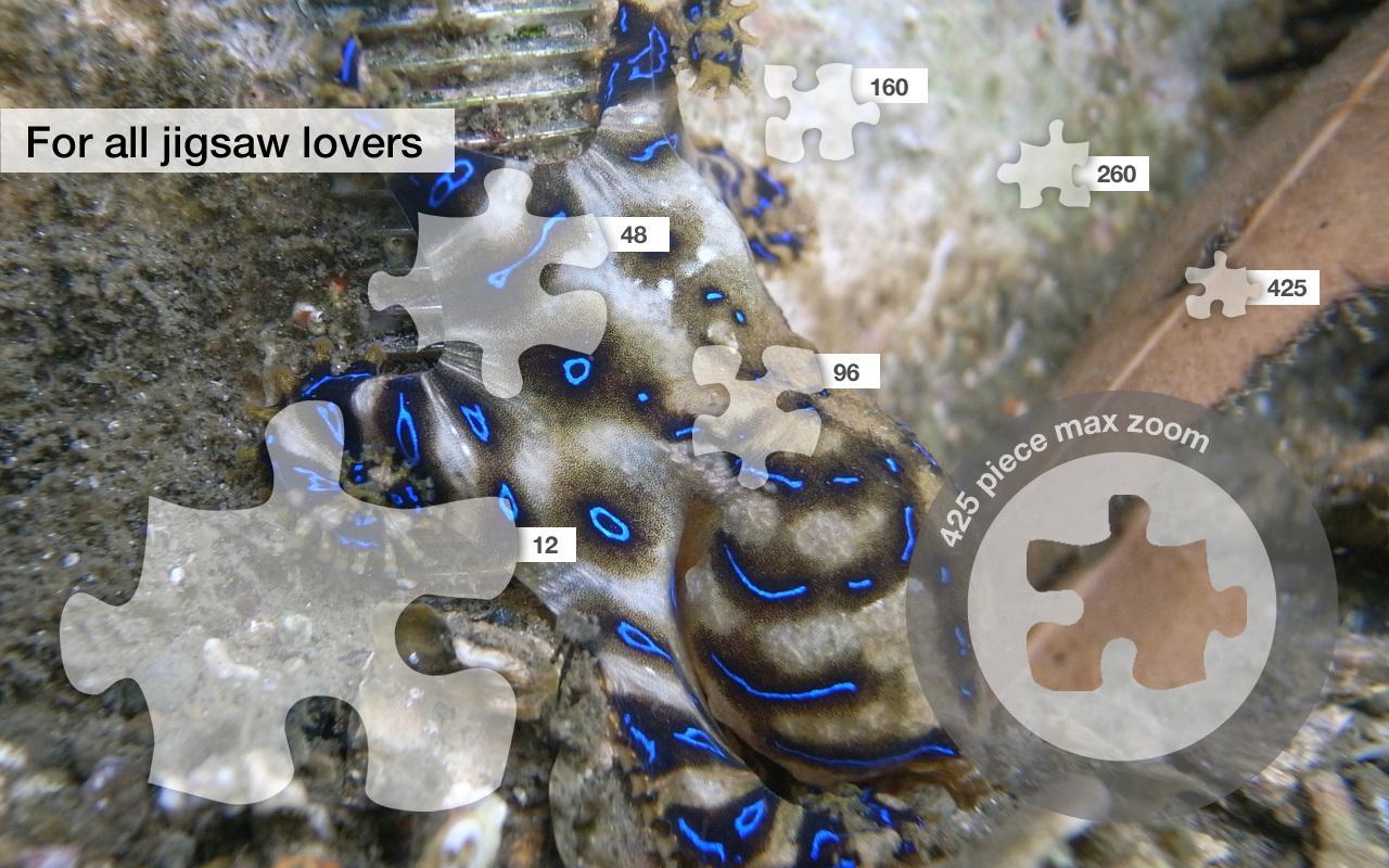 Jigsaw Puzzles: Dang. Animals