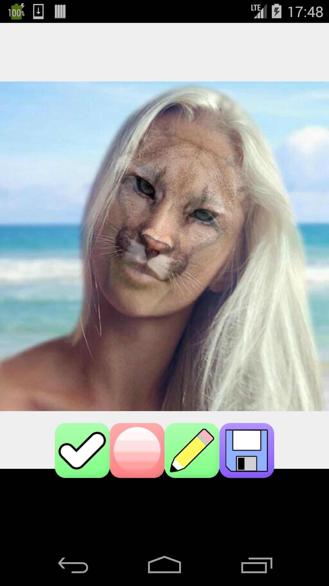 add tiger face to picture