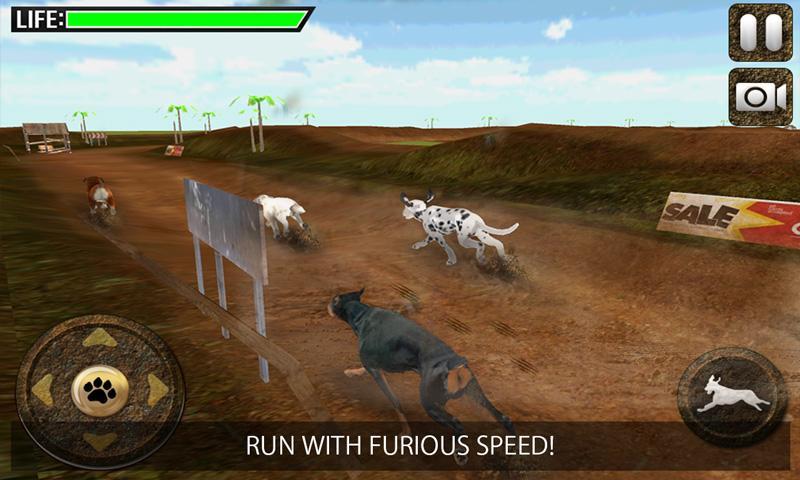 Greyhound Dog Racing 3D
