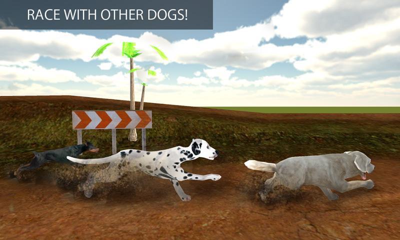 Greyhound Dog Racing 3D
