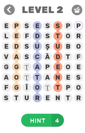 Einstein-Joc de cuvinte