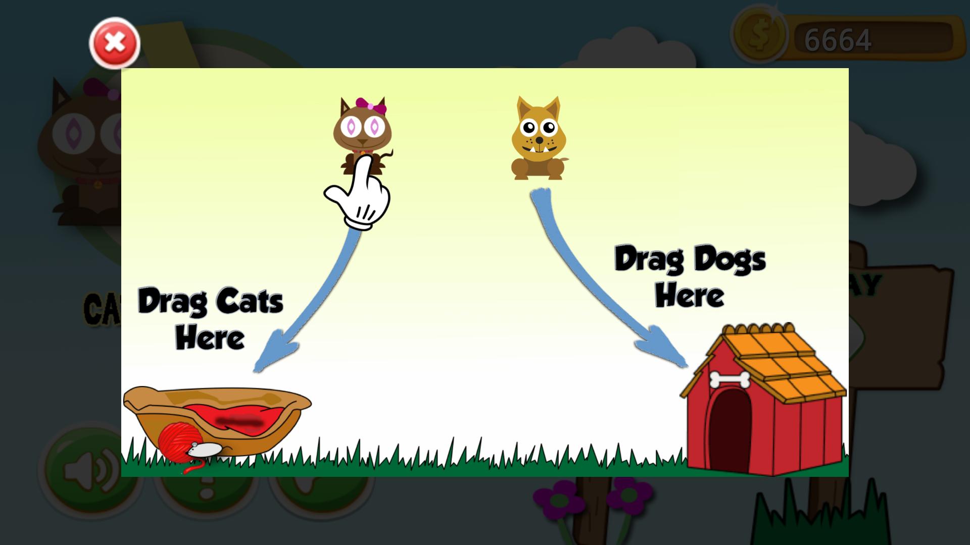 Cats VS Dogs